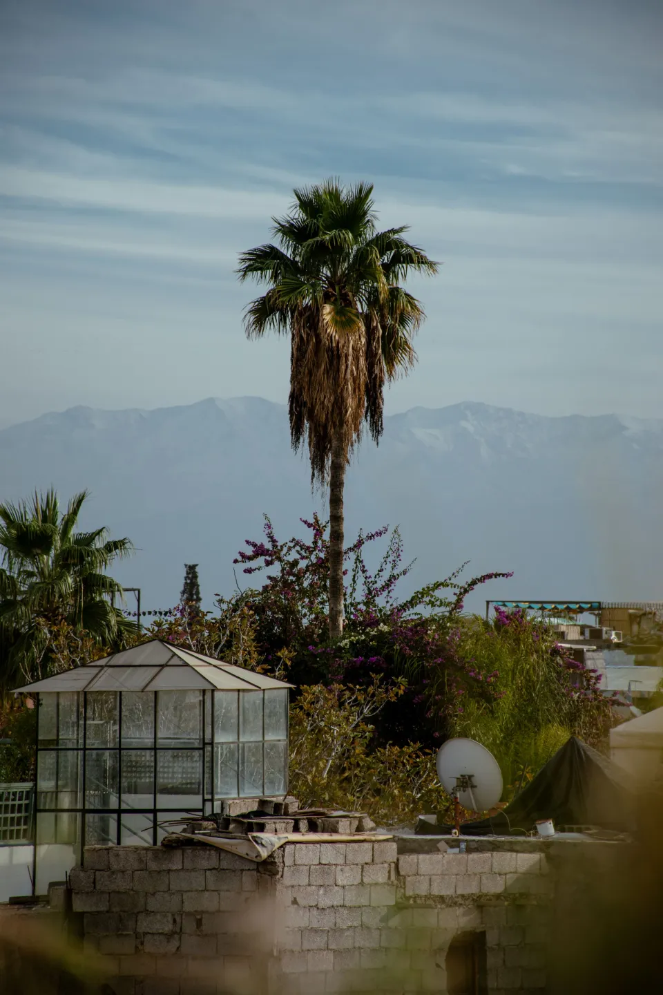 Toits de Marrakech, l'Atlas au fond